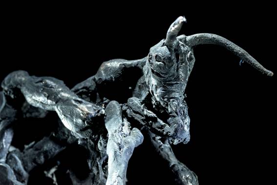 ToWD_Locust_Ingrid Rollema_EDV5737.jpg