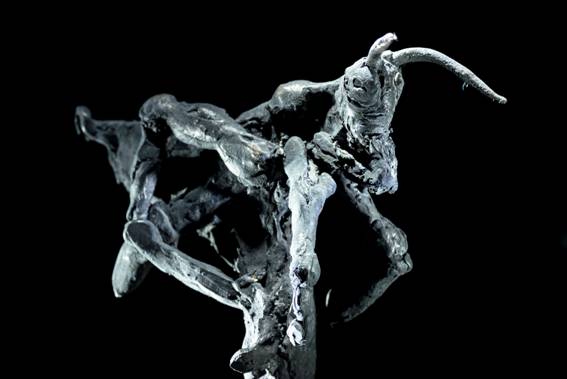 ToWD_Locust_Ingrid Rollema_EDV5738.jpg