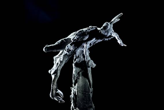 ToWD_Locust_Ingrid Rollema_EDV5745.jpg