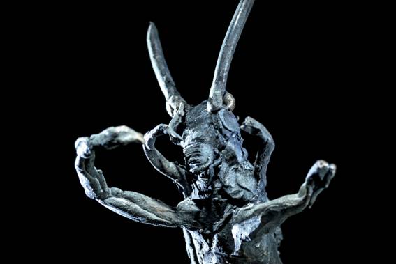 ToWD_Locust_Ingrid Rollema_EDV5749.jpg