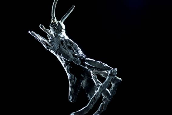 ToWD_Locust_Ingrid Rollema_EDV5751.jpg