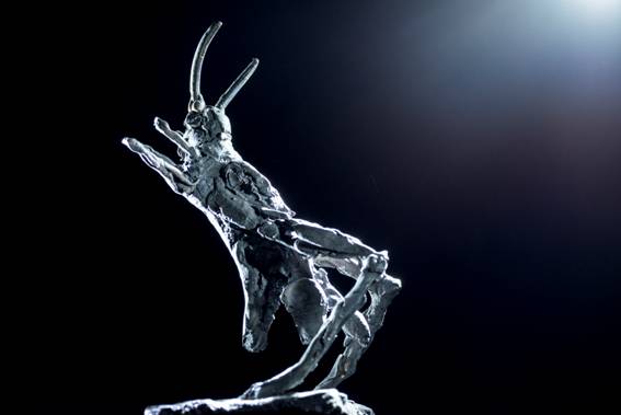 ToWD_Locust_Ingrid Rollema_EDV5752.jpg