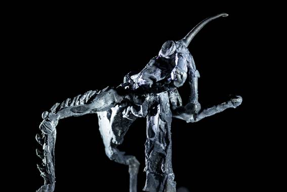 ToWD_Locust_Ingrid Rollema_EDV5753.jpg