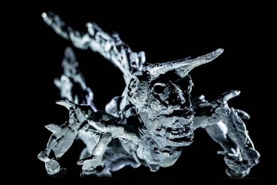 ToWD_Locust_Ingrid Rollema_EDV5758.jpg