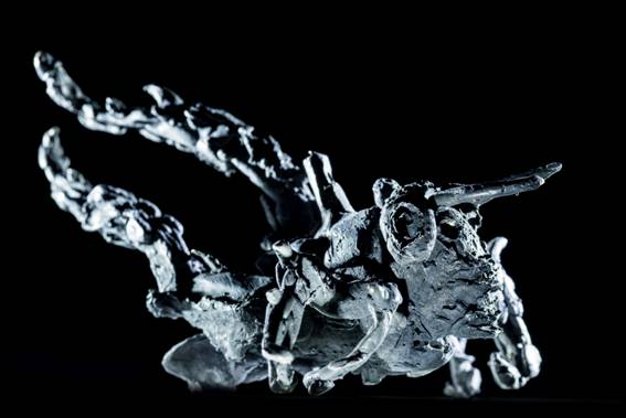 ToWD_Locust_Ingrid Rollema_EDV5759.jpg