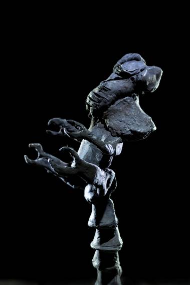 ToWD_Locust_Ingrid Rollema_EDV5938.jpg