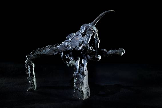 ToWD_Locust_Ingrid Rollema_EDV5950.jpg