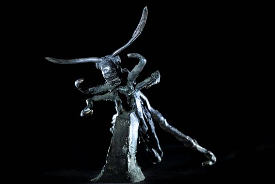 ToWD_Locust_Ingrid Rollema_EDV5954.jpg