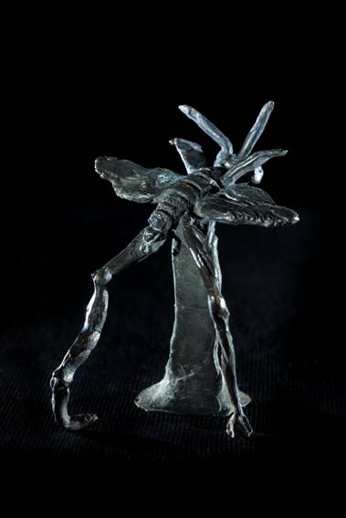 ToWD_Locust_Ingrid Rollema_EDV5959.jpg