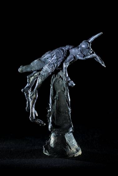 ToWD_Locust_Ingrid Rollema_EDV5962.jpg