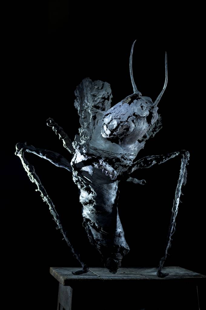 ToWD_Locust_Ingrid Rollema_EDV5890.jpg