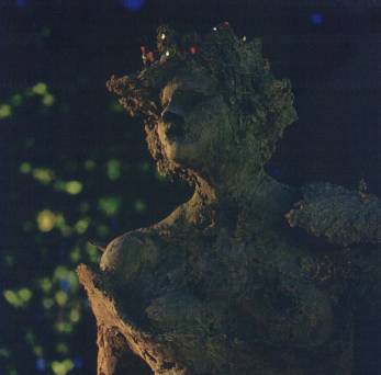 image007